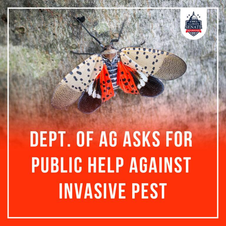 Department of Agriculture Asks for the Public’s Help Against Invasive ...