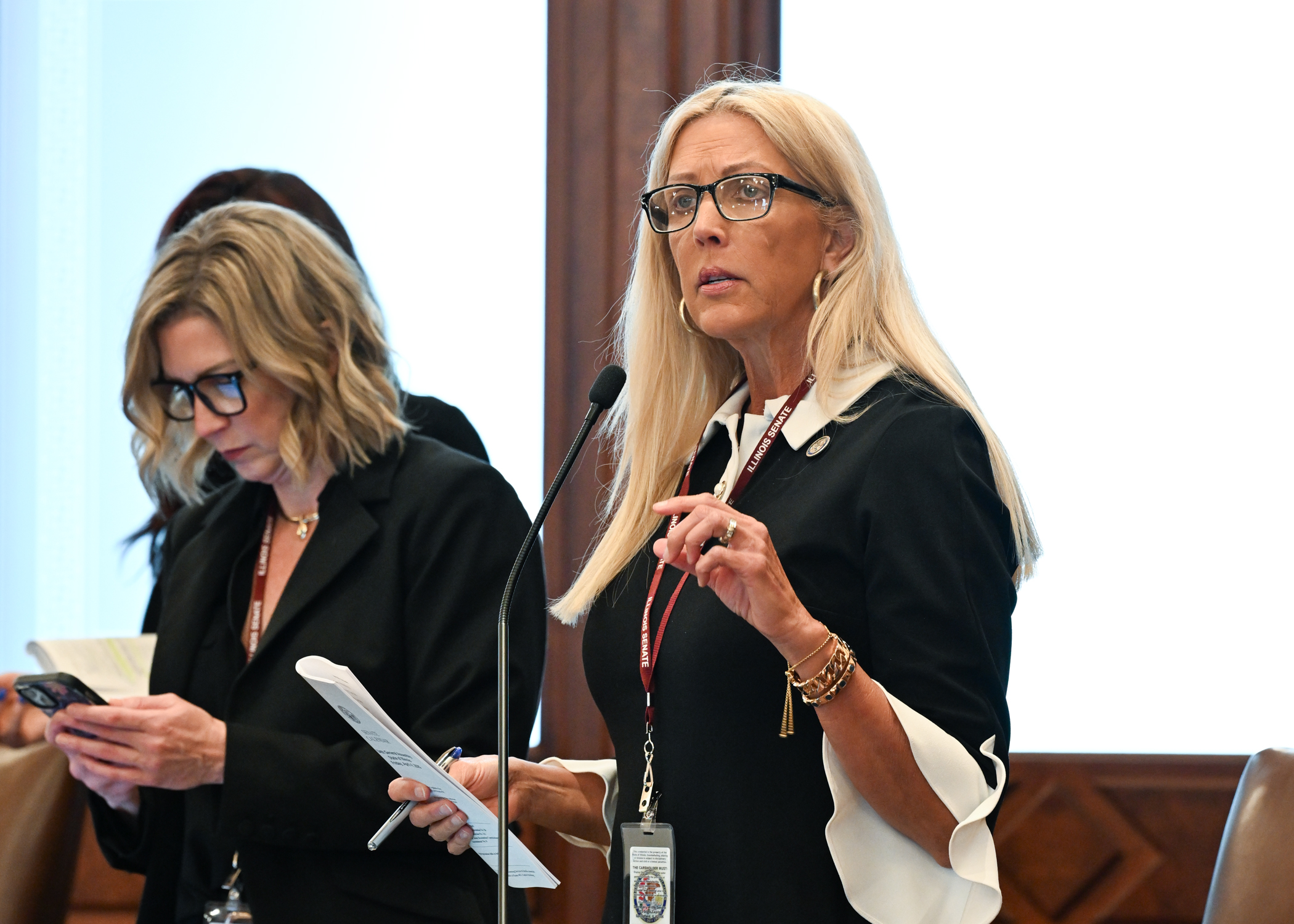 Sen. Rezin Small Town Tour