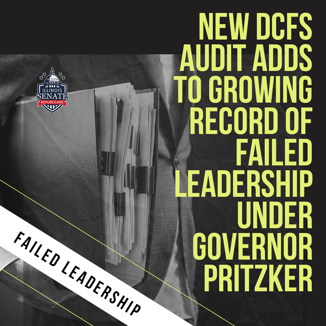 DCFS Audit