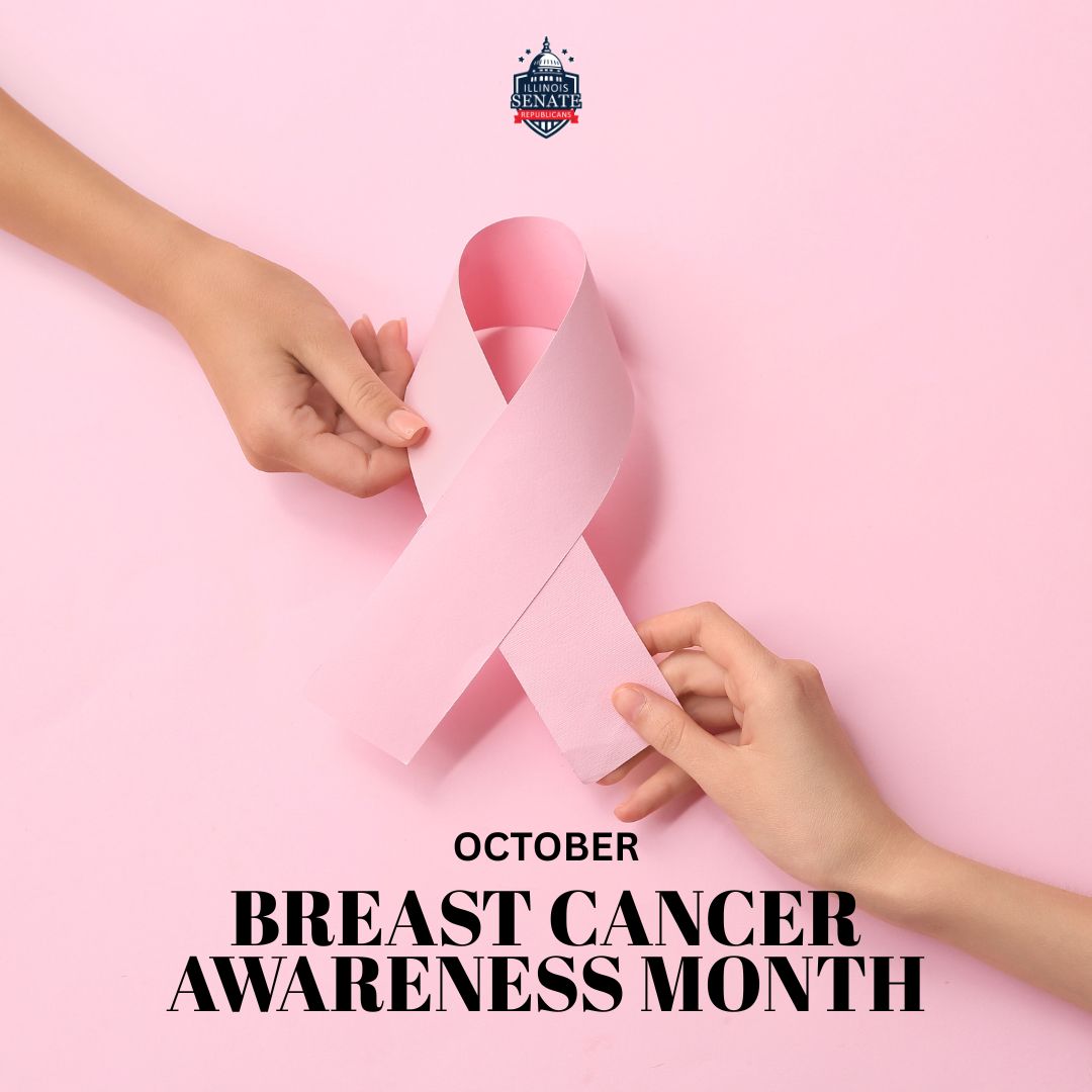 October is Breast Cancer Awareness Month