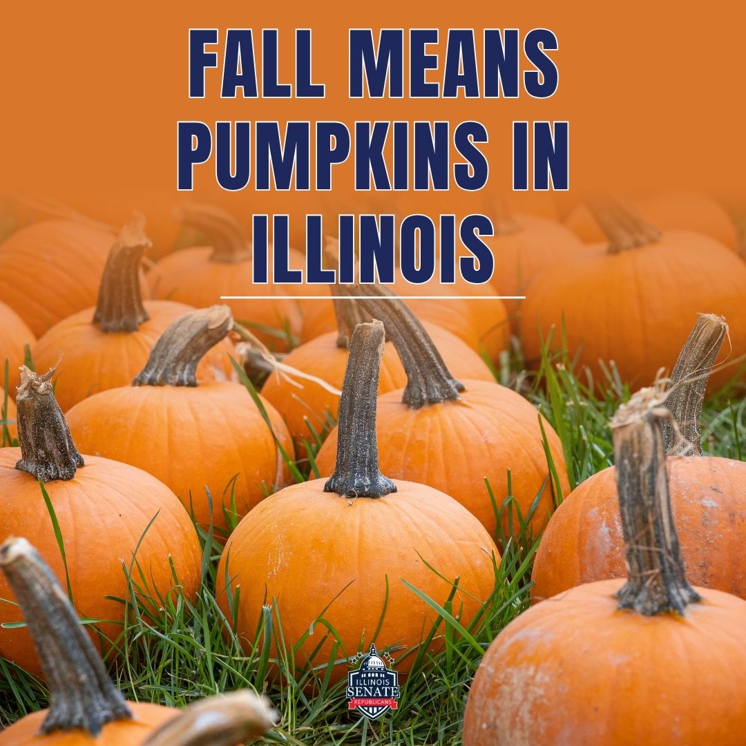 Fall Means Pumpkins in Illinois